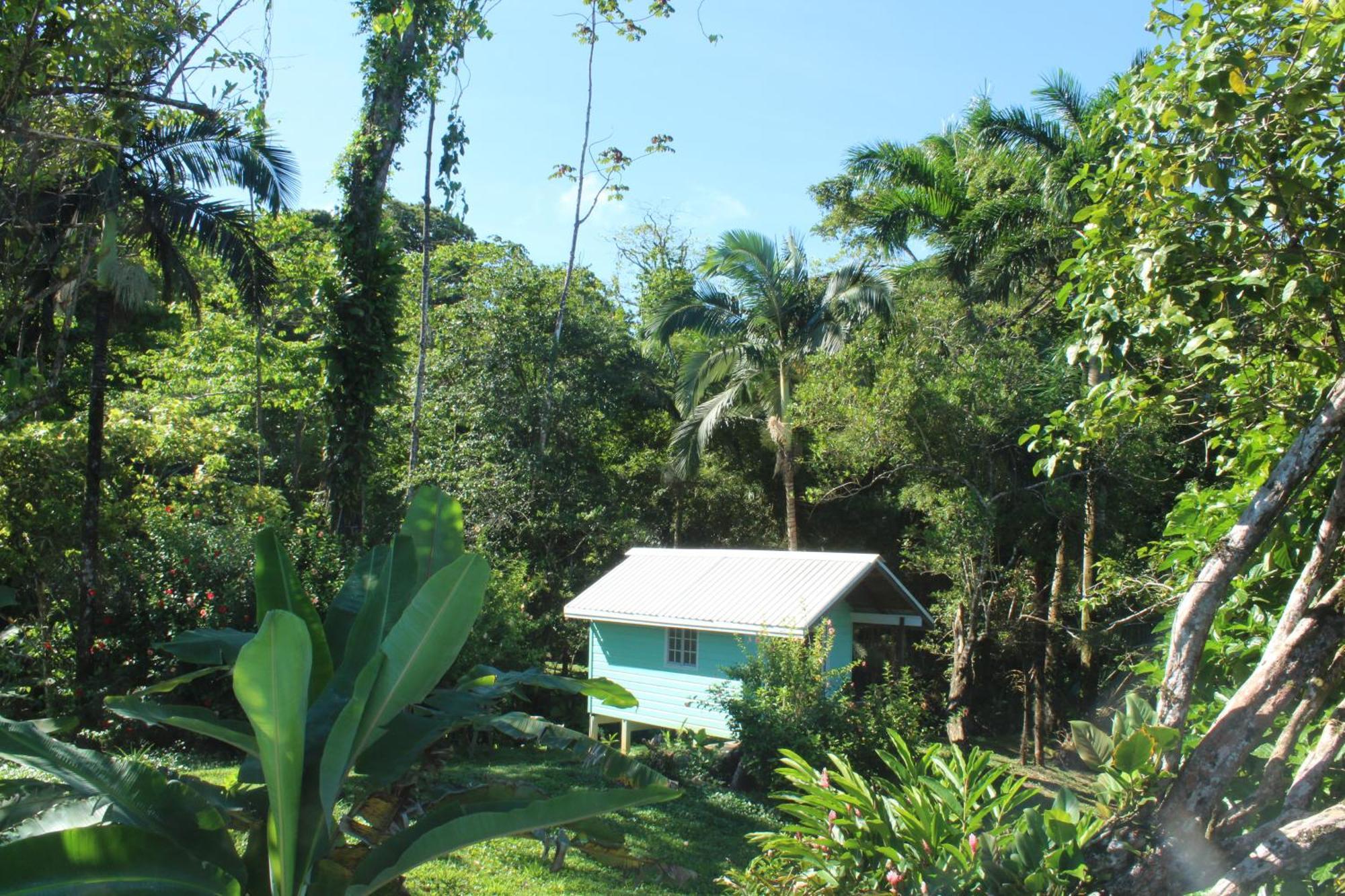 Bird Island Bungalows Bocas del Toro Zimmer foto